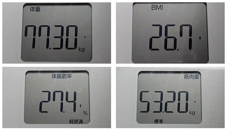 アラフィフオヤジの肉体改造：測定データ20251108（その1）