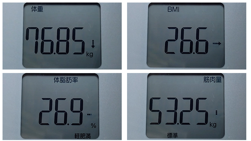 アラフィフオヤジの肉体改造：測定データ20251115（その1）