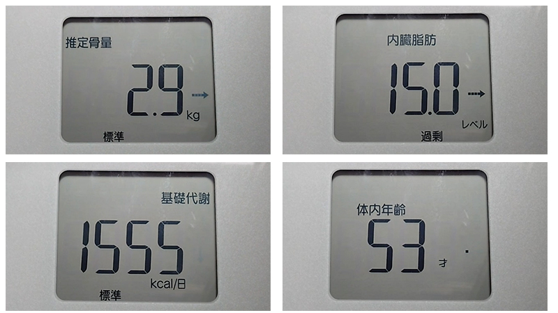 アラフィフオヤジの肉体改造：測定データ20251108（その2）