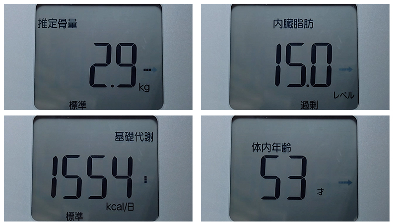 アラフィフオヤジの肉体改造：測定データ20251115（その2）