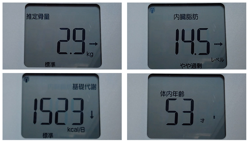 アラフィフオヤジの肉体改造：測定データ20251129（その2）