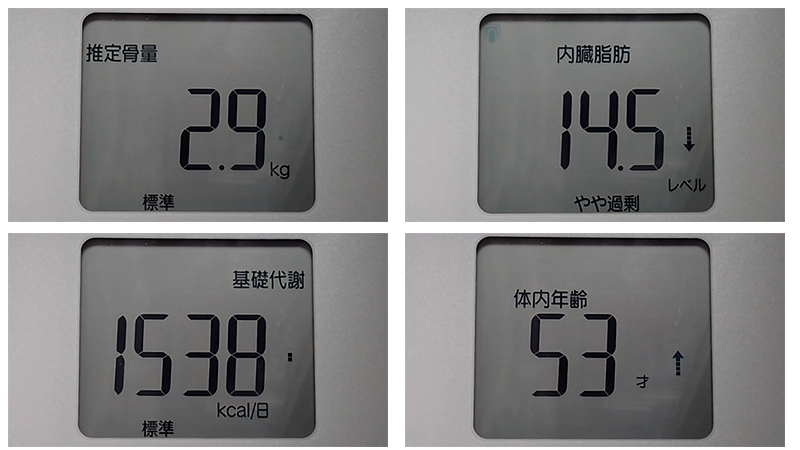 アラフィフオヤジの肉体改造記録(17週目)|体重は「トレンド」で見る。体組成分析の真実 | Evolutionary-record アラフィフオヤジの肉体改造:測定データ20251220(その2)